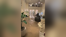 Watch: Historic Florida resort bounces back in record time after flash flooding swamps lobby in viral video